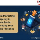 Blog Post 1 Digital Marketing Agency in Panchkula