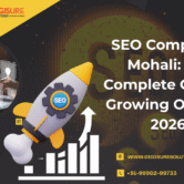 SEO Company in Mohali SEO Company in Mohali