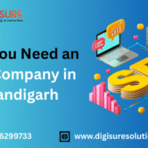 Why You Need an SEO Company in Chandigarh SEO Company in Chandigarh