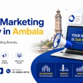 Best Digital Marketing Agency in Ambala